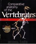 COMPARATIVE ANATOMY OF THE VERTEBRATES FIFTH EDITION 1983 PDF电子版封面 080162651X GEORGE C.KENT