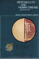 MICROBIOLOGY AND HUMAN DISEASE SECOND EDITION PDF电子版封面 0024791903 GRORGE A.WISTREICH,MAX D.LECHT