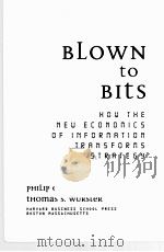 BLOWN TO BITS PDF电子版封面 087584877X THOMAS S.WURSTER著