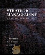 STRATEGIC MANAGEMENT A MANAGERIAL PERSPECTIVE SECOND EDITION PDF电子版封面 0030223733 L.J.BOURGEOIS IRENE M.DUHAIME