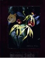 INTRODUCTORY PLANT BIOLOGY PDF电子版封面 0072909412 KINGSLEY R.STERN JAMES E.BIDL