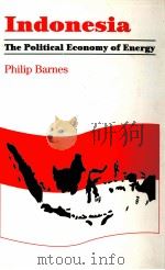 Indonesia The Political Economy of Energy PDF电子版封面 0197300162 Philip Barnes
