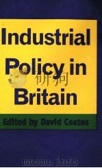 Industrial Policy in Britain 1996 PDF电子版封面 0312157975