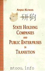 STATE HOLDING COMPANIES AND PUBLIC ENTERPRISES IN TRANSITION PDF电子版封面 9780333598288