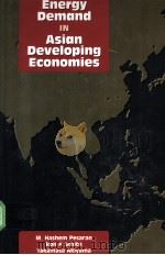 Energy Demand iN Asian Developing Economies PDF电子版封面 0197300200