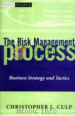 The Risk Management Process Business strategy and Tactics PDF电子版封面