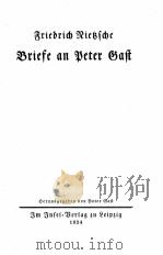 BRIEFE AN PETER GAST 1924 PDF电子版封面
