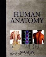 HUMAN ANATOMY PDF电子版封面 0070390800 KENNETH S.SALADIN著