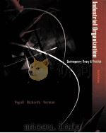 INDUSTRIAL ORGANIZATION CONTEMPORARY THEORY & PRACTICE THIRD EDITION PDF电子版封面 0324261306 LYNNE PEPALL DANIEL J.RICHARD