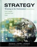 STRATEGY WINNING IN THE MARKETPLACE SECOND EDITION PDF电子版封面 0073203130 ARTHUR A.THOMPSON著