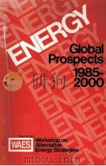 ENERGY:Global Prospects 1985-2000 Report of the Workshop on Alternative Energy Strategies PDF电子版封面 0070718784 Carroll L.Wilson