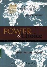 POWER & CHOICE AN INTRODUCTION TO POLITICAL SCIENCE PDF电子版封面 9780073106786 W.PHILLIPS SHIVELY著