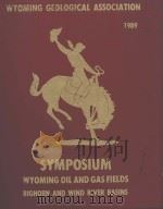 WYOMING GEOLOGICAL ASSOCIATION 1989  SYMPOSIUM WYOMING OIL AND GAS FIELDS BIGHORN AND WIND RIVER BAS（ PDF版）