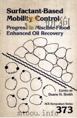 Surfactant-Based Mobility Control Progress in Miscible-Flood Enhanced Oil Recovery PDF电子版封面 0841214913 Duane H.Smith