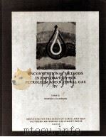 UNCONVENTIONAL METHODS IN EXPLORATION FOR PETROLEUM AND NATURAL GAS Ⅳ（ PDF版）
