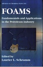 Foams:Fundamentals and Applications in the Petroleum Industry（ PDF版）