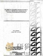 FEASIBILITY ANALYSIS AND DEVELOPMENT OF FOAM-PROTECTED UNDERGROUND NATURAL GAS STORAGE FACILITIES  F（ PDF版）