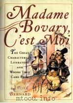 Madame Bovary G'est Moi The Great Characters of Literature and Where They Came From PDF电子版封面 0393051811 ANDRE BERNARD