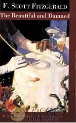 The Beautuful and Damned（ PDF版）