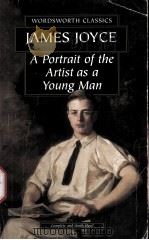 A PORTRAIT OF THE ARTIST AS A YOUNG MAN（ PDF版）