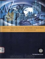 SOCIAL PROTECTION SECTOR STRATEGY FROM SAFETY NET TO SPRINGBOARD（ PDF版）