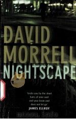 NIGHTSCAPE（ PDF版）