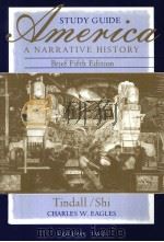 AMERICA A NARRATIVE HISTORY TINDALL AND SHI STUDY GUIDE VOLUME Ⅱ/BRIEF FIFTH EDITION PDF电子版封面 0393975630 CHARLES W.EAGLES