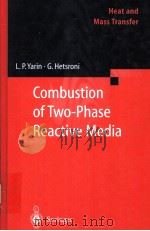Combustion of Two-Phase Reactive Media  with 249 Figures（ PDF版）