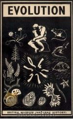 A HANDBOOK ON EVOLUTION SECOND ENLARGED EDITION 1959 PDF电子版封面
