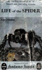 LIFE OF THE SPIDER（1955 PDF版）