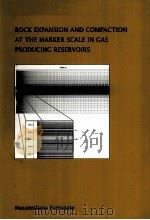 ROCK EXPANSION AND COMPACTION AT THE MARKER SCALE IN GAS PRODUCING RESERVOIRS PDF电子版封面 9040723923