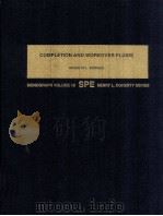 COMPLETION AND WORKOEER FLUIDS（ PDF版）