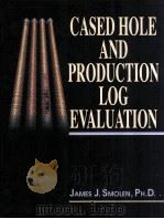 CASED HOLE AND PRODUCTION LOG EVALUATION PDF电子版封面 0878144655 James J.SSmolen