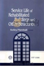 Service Life of Rehabilitated Buildings and Other Structures  STP 1098（ PDF版）