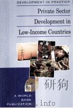 PRIVATE SECTOR DEVELOPMENT IN LOW-INCOME COUNTRIES 1995 PDF电子版封面