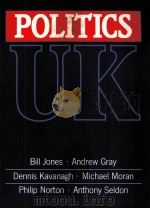 POLITICS UK 1991 PDF电子版封面