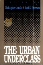 THE URBAN UNDERCLASS 1991 PDF电子版封面