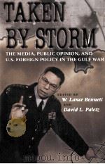 TAKEN BY STORM 1994 PDF电子版封面 W.LANCE BENNETT AND DAVID L.PA