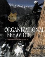 ORGANIZATIONAL BEHAVIOR:THE PERSON-ORGANIZATION FIT 1999 PDF电子版封面