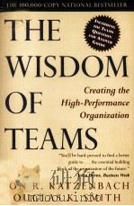 THE WISDOM OF TEAMS:CREATING THE HIGH-PERFORMANCE ORGANIZATION 1994 PDF电子版封面