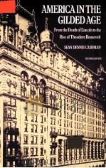 AMERICA IN THE GILDED AGE FROM THE DEATH OF LINCOLN TO THE RISE OF THEODORE ROOSEVELT SECOND EDITION（1988 PDF版）
