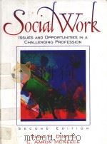 SOCIAL WORK:ISSUES AND OPPORTUNITIES IN A CHALLENGING PROFESSION SECOND EDITION 1997 PDF电子版封面