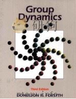 GROUP DYNAMICS THIRD EDITION（1999 PDF版）