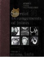 INTERNAL DERANGEMENTS OF JOINTS SECOND EDITION VOLUME 1（ PDF版）