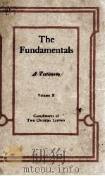 The Fundamentals Volume X PDF电子版封面