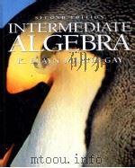 INTERMEDIATE ALGEBRA SECOND EDITION 1997 PDF电子版封面