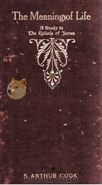 The Meaning of Life 1910 PDF电子版封面