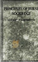 PRINCIPLES OF RURAL SOCILOLGY（1927 PDF版）