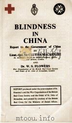 BLINDNESS IN CHINA REPORT TO THE GOVERNMENT OF CHINA（ PDF版）