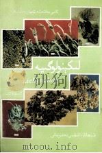 地衣学  维吾尔文（1996 PDF版）